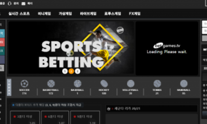 어텐션이라는 사이트입니다 말도 하기싫어요 그냥 벌레사이트임 att319 com