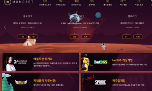 총판소개로 가입하였는데 총판새기들 예전에 먹튀 이력있다고 얘기하시는데 못믿겠네요 mmbkor com