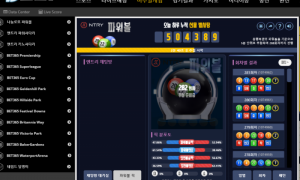 트레이닝뱃에서 파워볼로 수익 많이 보고 있습니다