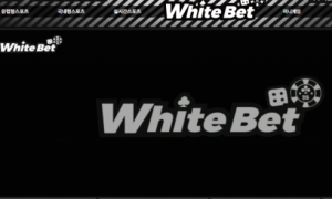 화이트 여긴 무슨 충전이랑 답변이 이렇게 느림? white7777com