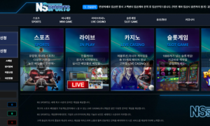 NS스포츠 back1111com 두달정도 사용했는데 다른곳 알아봐야할듯