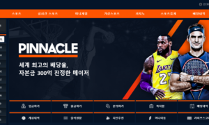 피나클 먹튀는 아닌듯한데 렉이심하네요 pinnacle119com
