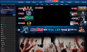 블루벳 궁금한게 있어서 문의했는데 보지를 않네요 btb010com