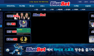 블루벳 무슨 이딴 곳을 소개해주는건지 btb010com