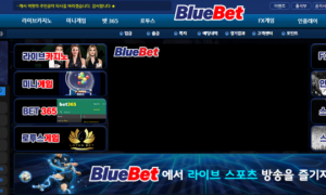 블루벳 소개 받아서 사용했는데 괜히 사용한거 같네요 btb010com