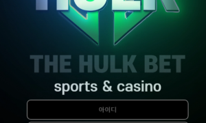 헐크 소개 받아서 사용했는데 괜히 사용한거 같네요 hk-1493com