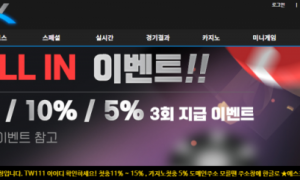 에스크 배팅오류가 너무심해서 하지를못함 ask-todizcom
