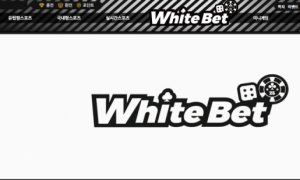 화이트벳 조금만 사용하다가 다른곳 가야겠음 white007com