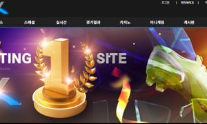 에스크 오류가 너무심해서 하지를못함 ask-todizcom