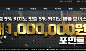 에스크 여기는 원래 문의 하면 늦게보는 곳인가요 ask-todizcom