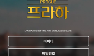 프라하 이렇게 막대하는곳은 처음이네요 wd-smcom